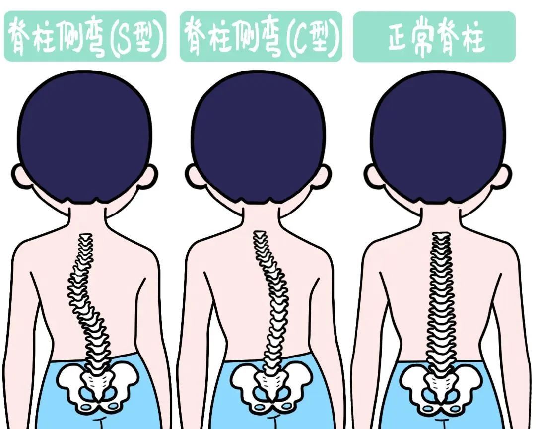 第325页